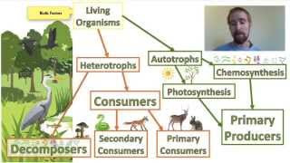 Biology 01-2 Ecosystems - Biotic and Abiotic Factors