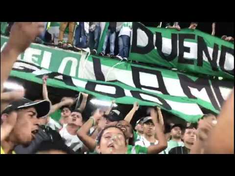 "A/N hinchada" Barra: Los del Sur • Club: Atlético Nacional • País: Colombia