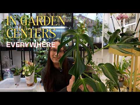 I CAN'T BELIEVE this plant is everywhere now 😱 sick plant haul 🤒