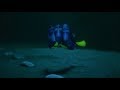 Finding Dory Dory Finally Finds Her Family
