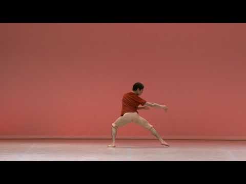 Keita Fujishima, 416 – Prix de Lausanne 2020 – Contemporary