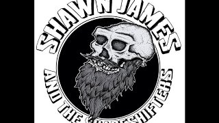 Shawn James &amp; The Shapeshifters - American Hearts