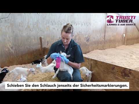 , title : 'Sonden Fütterung von Lämmern und Zicklein mit dem Trusti Tuber'
