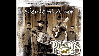 Los Palominos - Me Cai De La Nube (2013)