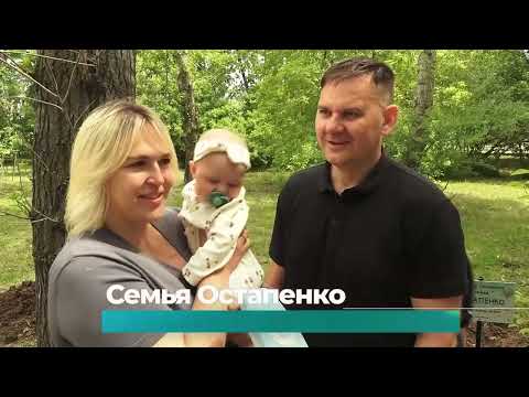 (11.06.2026) Девять молодых черемух украсили сквер у нарсуда