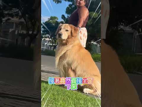 該不會⋯⋯牠把一頭金髮的女孩當成自己的同類了吧？