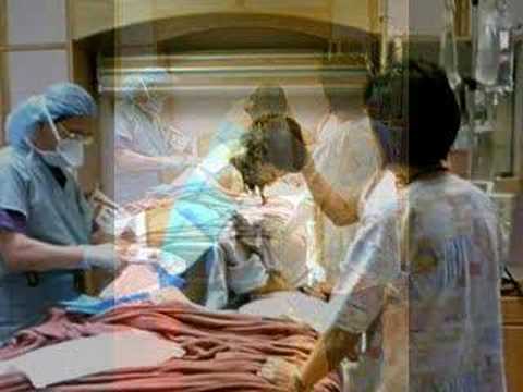 This Woman's Work - She's Having A Baby