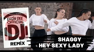 Shaggy - Hey Sexy Lady / Remix : Dj Engin Dee