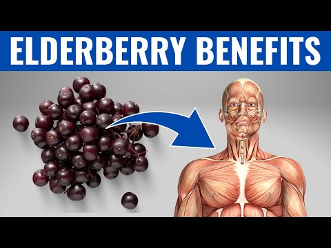 Antioxidant immunity booster elderberry capsule