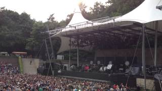 MIGHTY OAKS :: Horse :: BERLIN 2013