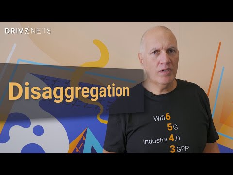 Granular: The Power of Disaggregation | Golden Age
