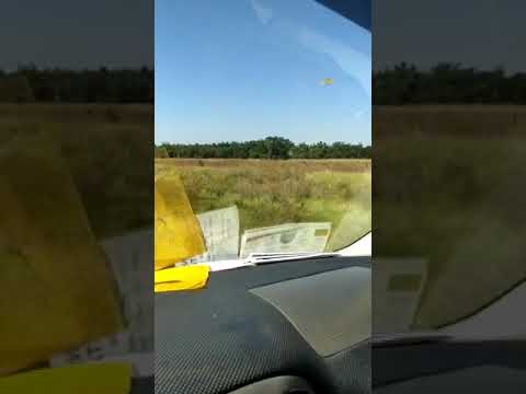 Estancia de 1.105 hectareas en Carayao - Caaguazu (PARAGUAY)