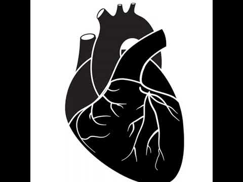 Traka (Instrumental Version)