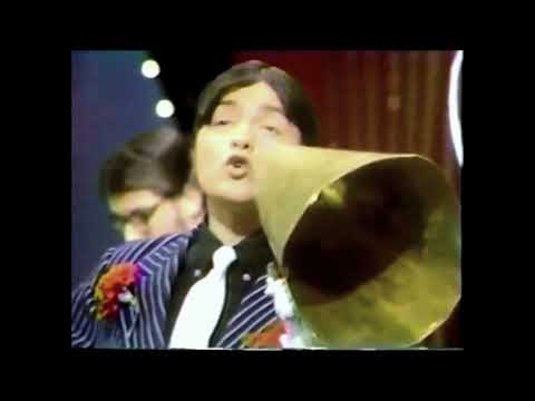 Winchester Cathedral - New Vaudeville Band