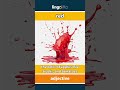 red - the color of apples, fire t... video thumbnail