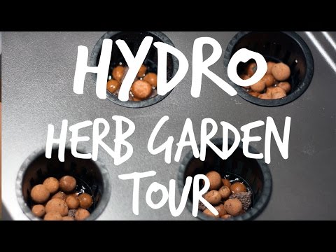 How to Prepare Water for Hydroponics