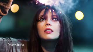 A viagem dos sentidos