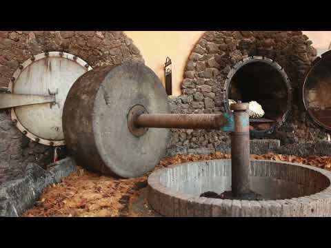 Experiencia única en la fábrica Cava de Oro: Descubre el tesoro del tequila en Arenal, Jalisco