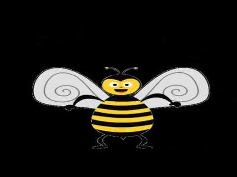 Buzz Buzz Buzz - The Hollywood Flames