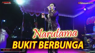 Download lagu BUKIT BERBUNGA//NARUTAMA MUSIL//KING SAMUDRA mp3