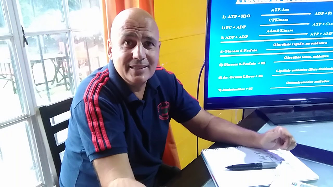 Fisiología del ejercicio. Sistema Anaeróbico Aláctico