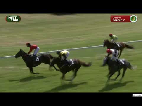 Galopprennbahn Dresden - 10.07.2021 - 2. Rennen