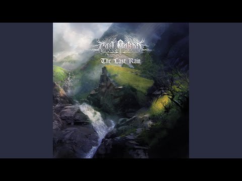 Between Hope and Reality