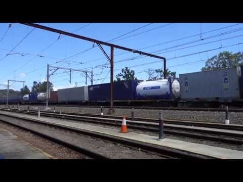 NR99 / AN3 with a late running 1431 - 2/11/15