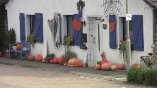 preview picture of video 'Rheinvorland Perrich - Leben hinter dem Deich 10/2013'
