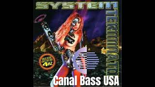 Bass Junkie - 1995 - System Terminator