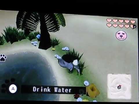 the dog island wii amazon