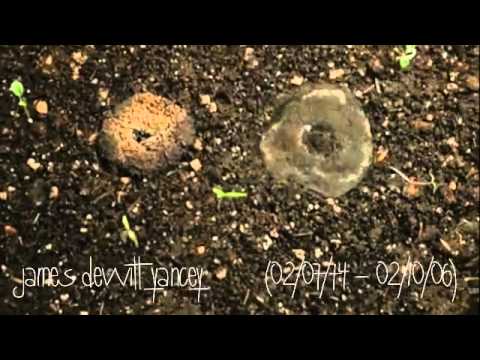 Video thumbnail for Don't Cry