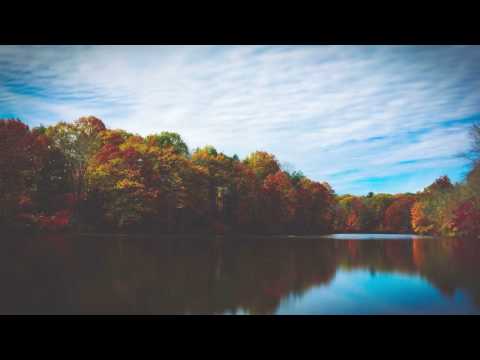 Mike Dupree - Falling Up ft. Maddi Jane