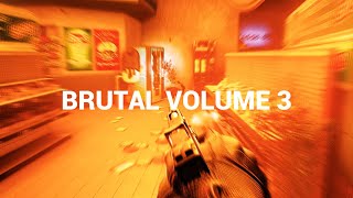 READY OR NOT - BRUTAL KILL COMPILATION VOLUME 3 - EXTREME VIOLENCE