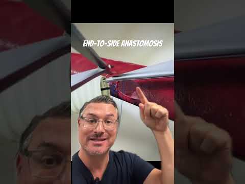 Attaching Blood Vessels #shorts