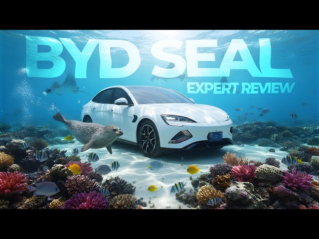 بی وائی ڈی سیل ایکسپرٹ ریویو – کیا یہ واقعی قابلِ تعریف ہے؟