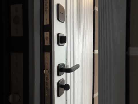 Входная дверь