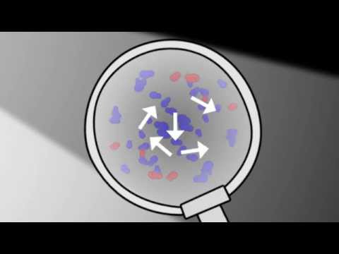 What is Brownian motion? | Chemistry for All | The Fuse School (3 min)