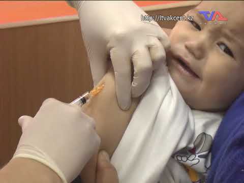 Выпуск программы "День" от 29 октября 2019 г.