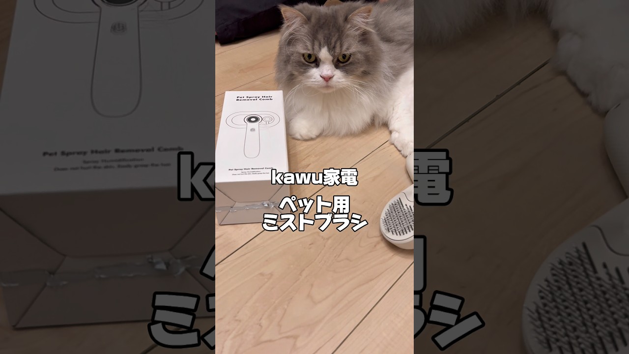 Gz★5,000views|ミストブラシ最高です‼️ #kawu家電 #cat #shorts