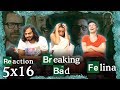 Breaking Bad - 5x16 Felina - Group Reaction