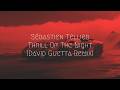 Sébastien Tellier - Thrill Of The Night (David Guetta Remix) ft. Slayyyter | Extended Remix