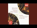 Serenade No. 1 in D Major, Op. 11: III. Adagio non troppo