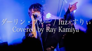 - 【Live映像】ダーリン・ブルー/ luz × すりぃ【歌ってみた】