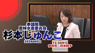 15:30から参政党【杉本じゅんこ】【杉本純子】🍊参議院農林水産委員会🍊20260402　#参政党 #杉本じゅんこ