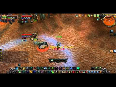 5.4 WW Monk vs Feral Druid duel