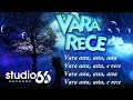 Eli feat. Kamelia - Vara rece (Karaoke) 