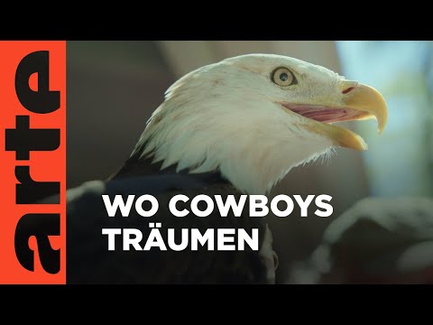 Pumas und Cowboys in Zentralflorida | Unbekanntes Florida | ARTE Family