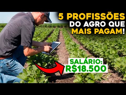 , title : 'AS 5 PROFISSÕES DO AGRO COM MELHORES SALÁRIOS PARA INICIAR'
