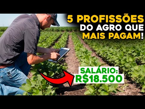 AS 5 PROFISSÕES DO AGRO COM MELHORES SALÁRIOS PARA INICIAR